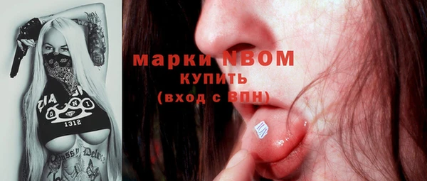 хмурый Вяземский