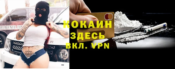 хмурый Вяземский