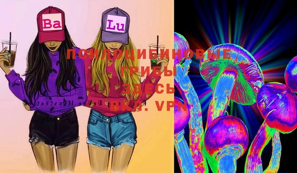 хмурый Вяземский