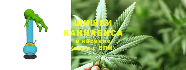 хмурый Вяземский