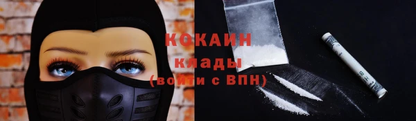 гидра Вязники