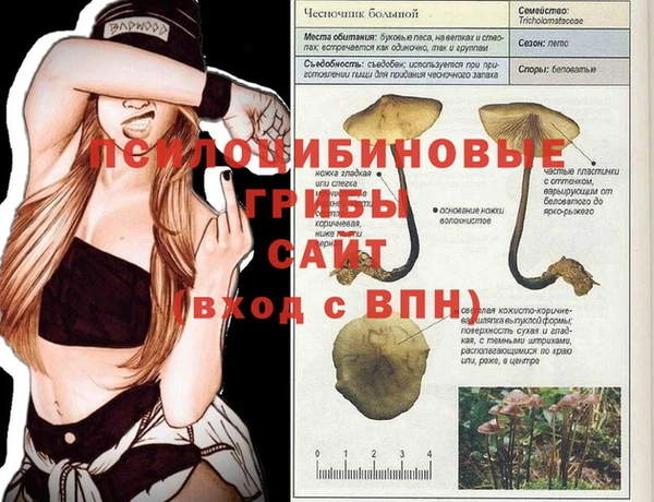 хмурый Вяземский