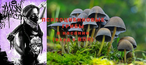 гидра Вязники
