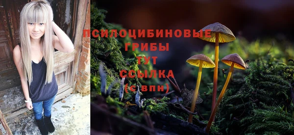 дурь Усолье-Сибирское