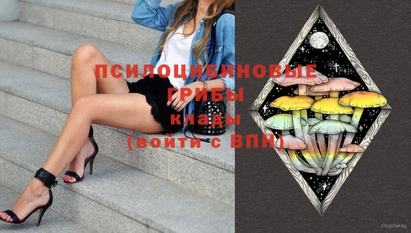 хмурый Вяземский