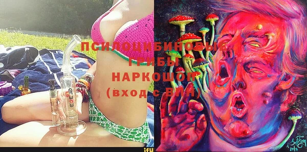 хмурый Вяземский