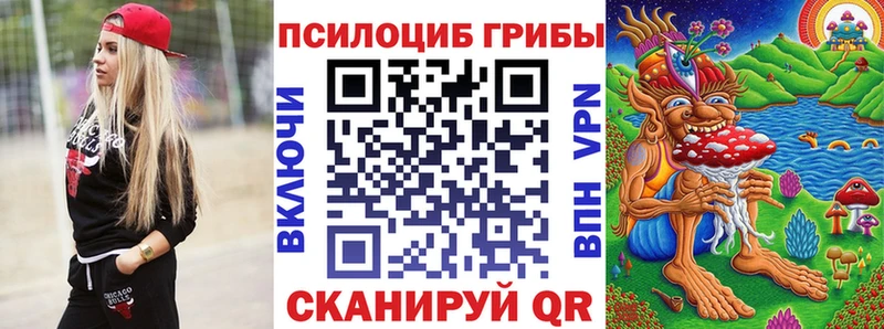 Галлюциногенные грибы Psilocybe  Сыктывкар 