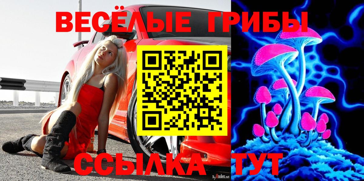 Псилоцибиновые грибы прущие грибы  Вход с VPN  Сыктывкар  Псилоцибиновые грибы мицелий 