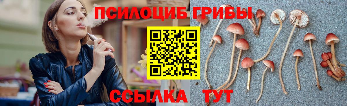 Псилоцибиновые грибы GOLDEN TEACHER Сыктывкар