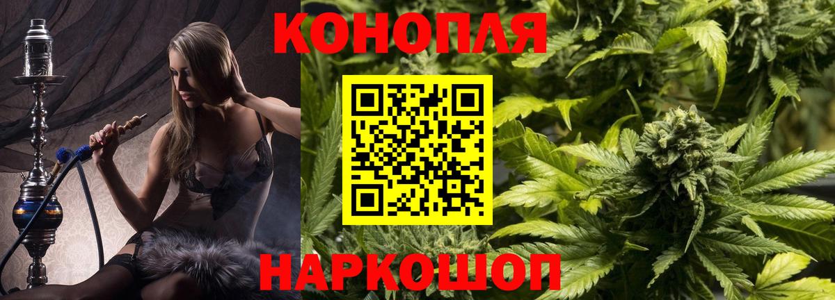 Бошки марихуана Amnesia Сыктывкар